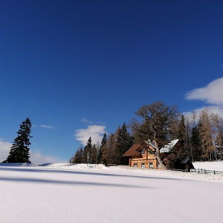 Ferienhaus Bichlhuette Pruggern Zewnętrze zdjęcie