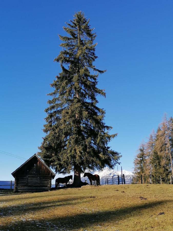 Ferienhaus Bichlhuette Pruggern Zewnętrze zdjęcie