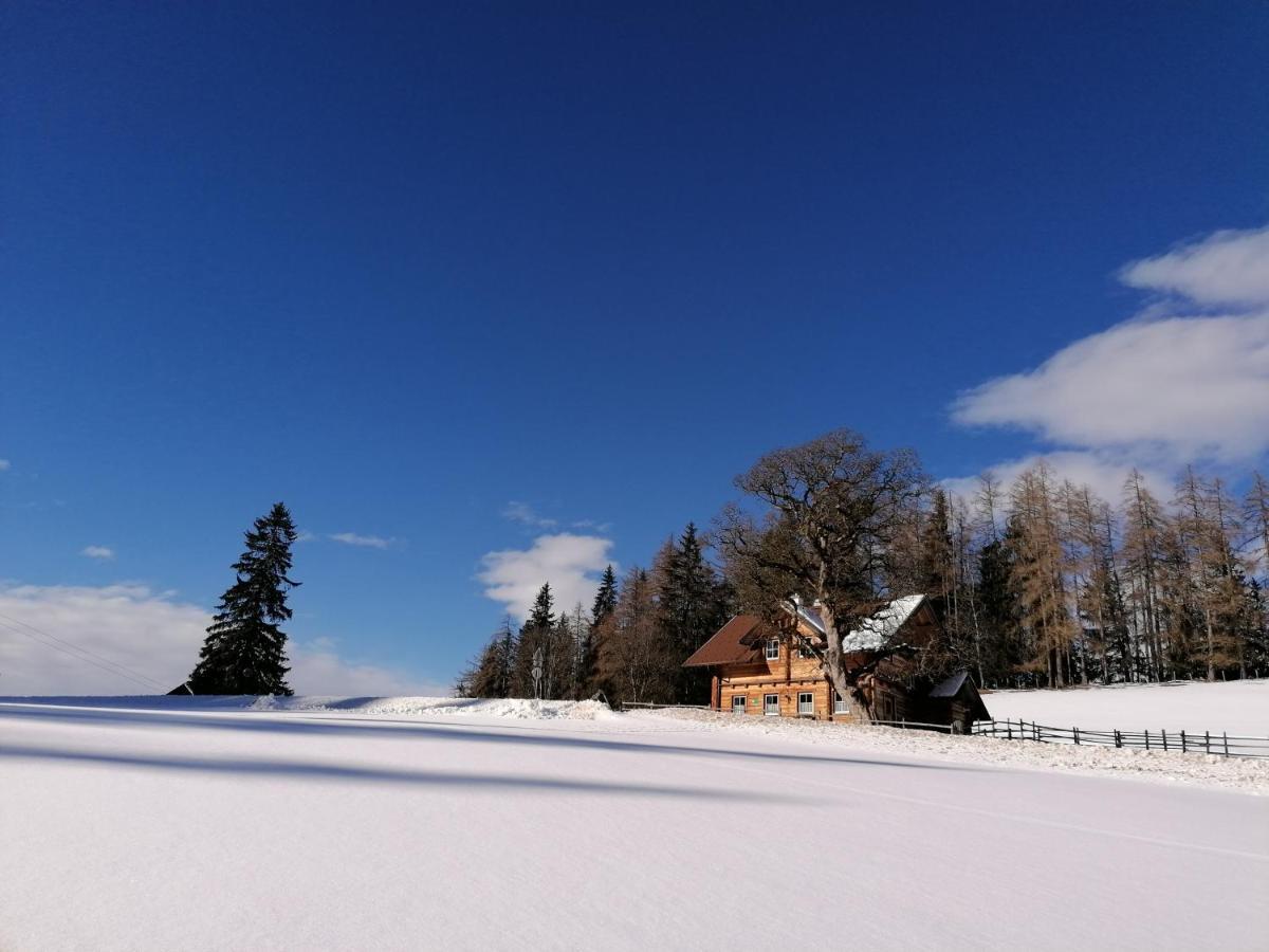Ferienhaus Bichlhuette Pruggern Zewnętrze zdjęcie