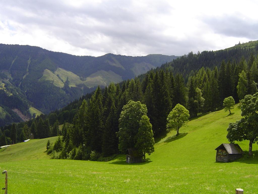 Ferienhaus Bichlhuette Pruggern Pokój zdjęcie