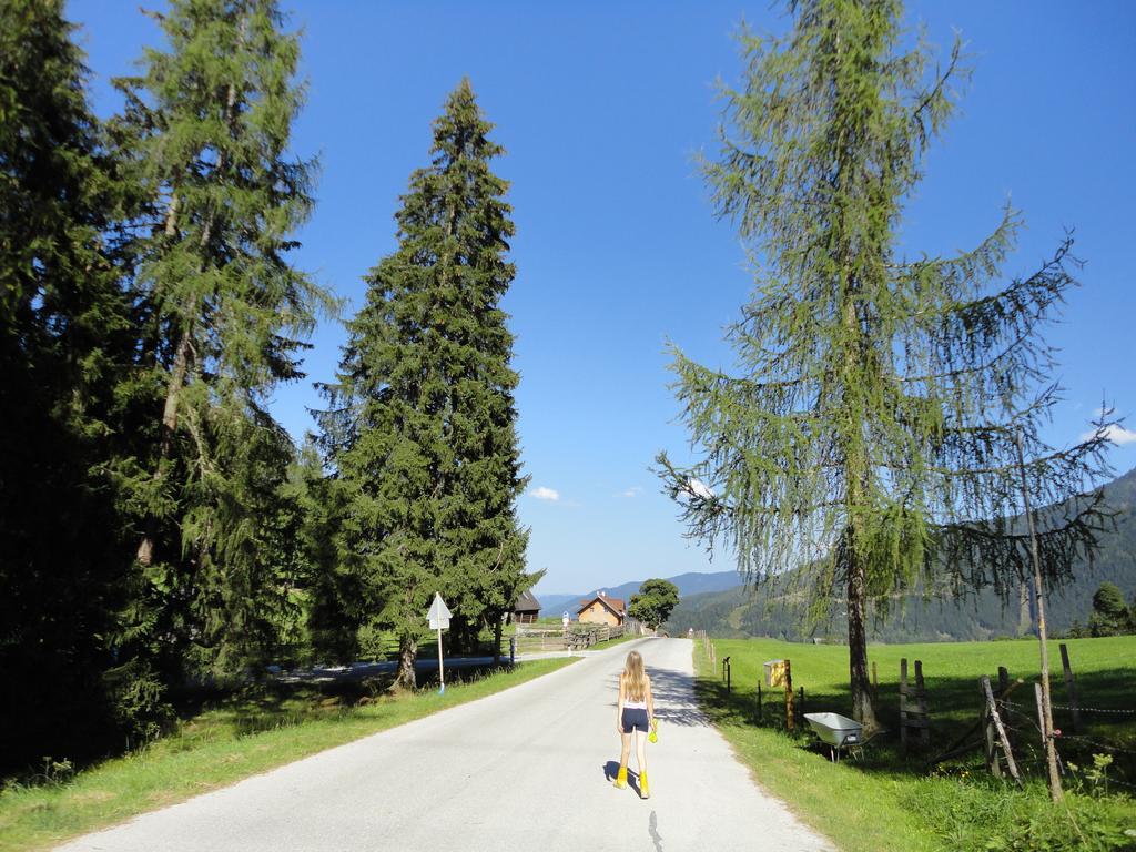 Ferienhaus Bichlhuette Pruggern Pokój zdjęcie